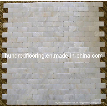 Mosaico blanco Shell Mosaic Tile (HMP71)